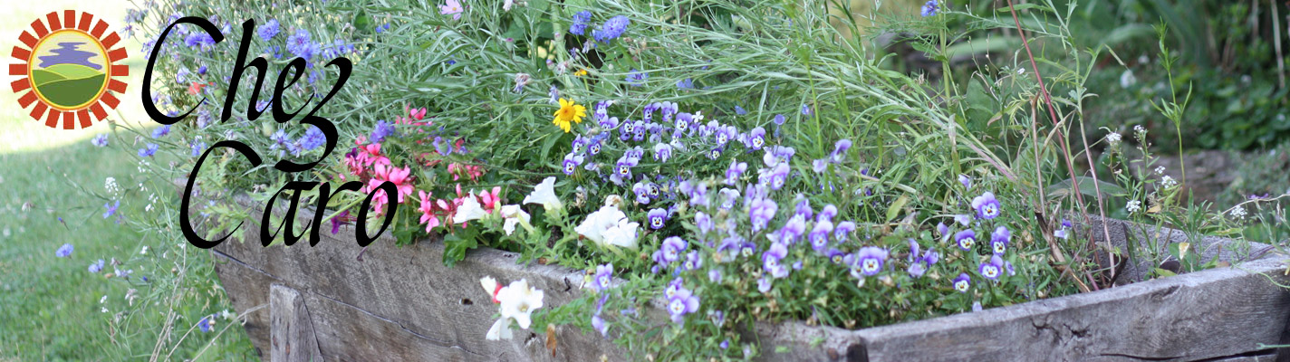 chezcaroflowers
